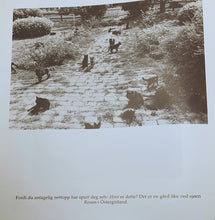 Last inn bildet i Galleri-visningsprogrammet, Katter av Thomas Wester - fra innholdet.