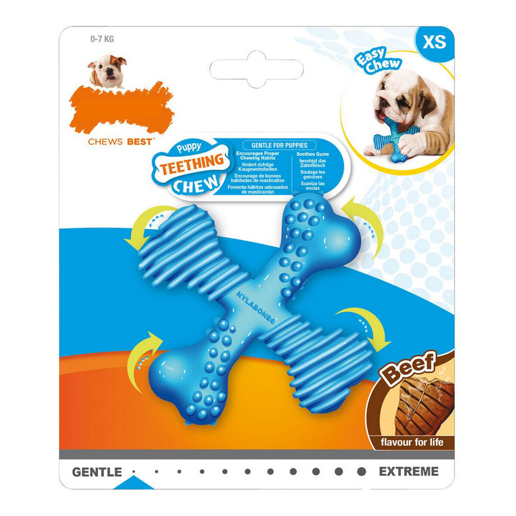 Dog teether Nylabone Kryss Nylon Kalv Valper