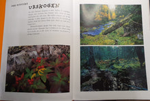 Last inn bildet i Galleri-visningsprogrammet, Bok - Dyr i skogen av Asgeir Helgestad. Fra innholdet.
