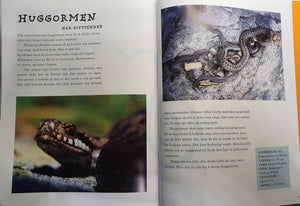 Bok - Dyr i skogen av Asgeir Helgestad. Fra innholdet.