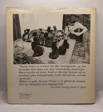 Last inn bildet i Galleri-visningsprogrammet, Katter av Thomas Wester - bakside.
