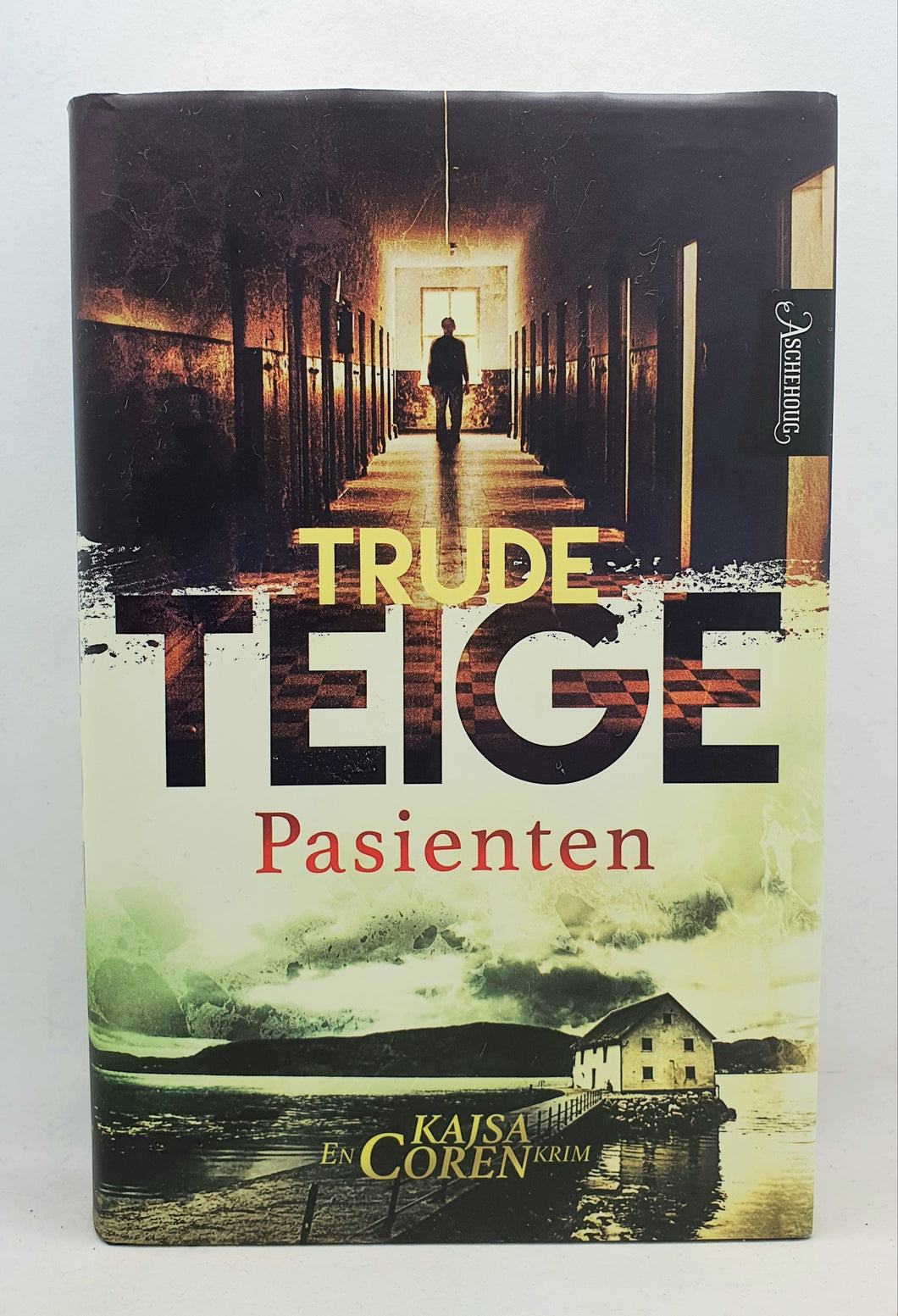 Bok - Pasienten av Trude Teige.