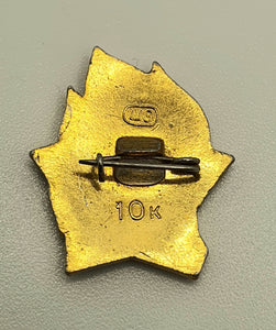 Eldre kommunist Lenin pin.