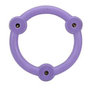 Hundeleketøy Hearts & Homies (16 cm)