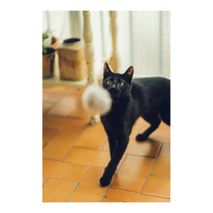 Cat rod Gloria Gaudí Bamse med Lyd Tre Lær Nøytral lær (6 cm)