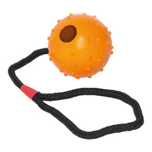 Last inn bildet i Galleri-visningsprogrammet, Dog teether Gloria Med streng Gummi (7 x 30 cm)
