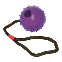 Last inn bildet i Galleri-visningsprogrammet, Dog teether Gloria Med streng Gummi (7 x 30 cm)
