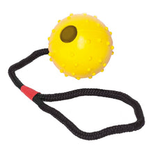 Last inn bildet i Galleri-visningsprogrammet, Dog teether Gloria Med streng Gummi (7 x 30 cm)
