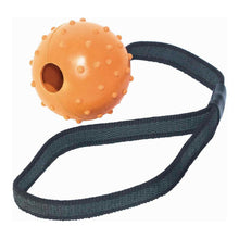 Last inn bildet i Galleri-visningsprogrammet, Dog teether Gloria Med streng Gummi (6 x 30 cm)
