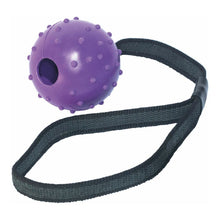 Last inn bildet i Galleri-visningsprogrammet, Dog teether Gloria Med streng Gummi (6 x 30 cm)
