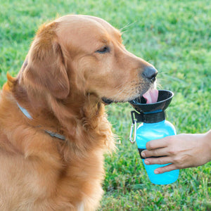 InnovaGoods Vanndispenser og Flaske for Hunder